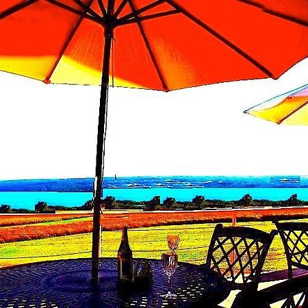 A Cayuga Lakefront Inn - Hotel Alt, Ithaca New York Exteriér fotografie